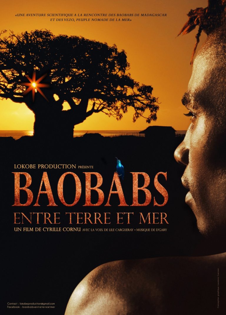 Entre Terre Et Mer Film Acteurs Baobabs entre terre et mer - Madagascar Terre d'Hospitalité