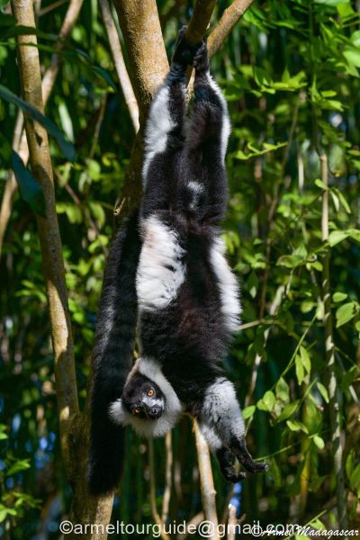 Armel Madagascar-17