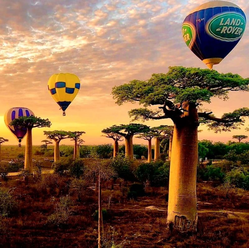 Voyage en montgolfière : Une autre façon de découvrir la destination Madagascar